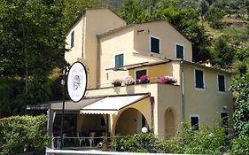 Il Ghiro